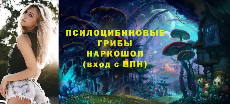 купить   Белоусово  Псилоцибиновые грибы MAGIC MUSHROOMS 